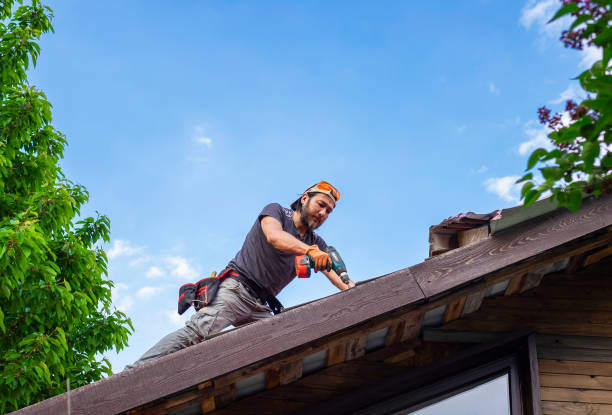 Best Siding  in Thompson, ND