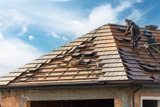 Best Roof Insulation Installation  in Thompson, ND